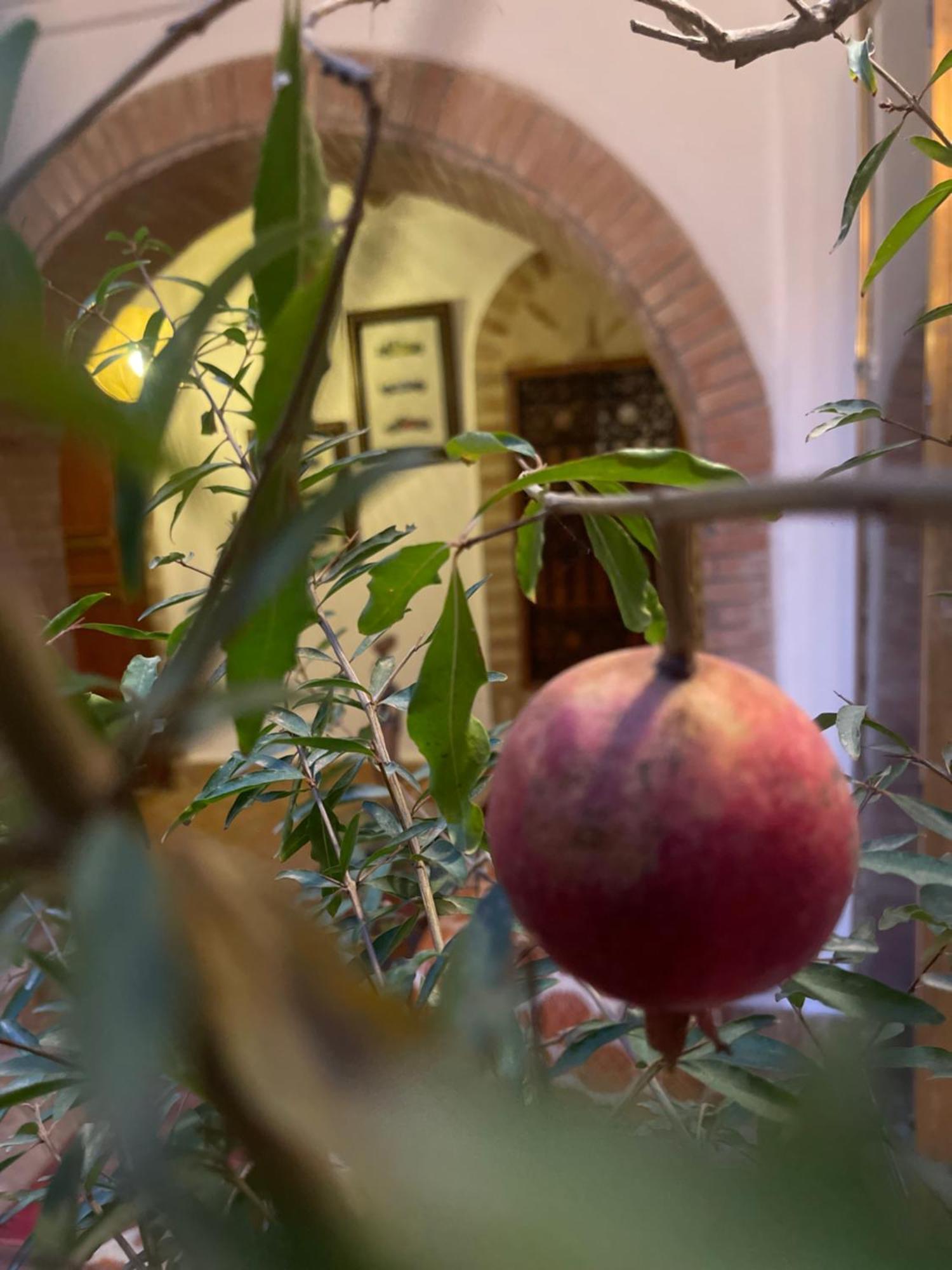 La Maison Berber Shams * 马拉喀什